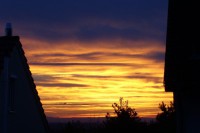 /album/fotogalerie-natur/a100-2770-jpg/