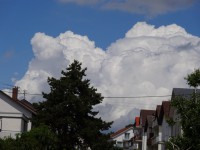 /album/fotogalerie-natur/dsc00038-jpg/