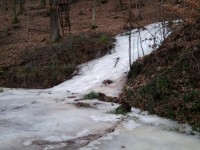 /album/fotogalerie-natur/eisflu-im-wald-jpg/