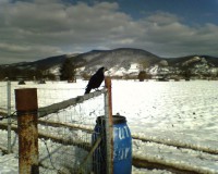 /album/fotogalerie-natur/img0040a-jpg/